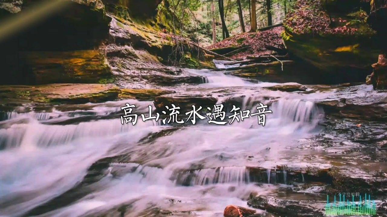 200年出1个的美神，是怎么从出身豪门混到四处流浪的
